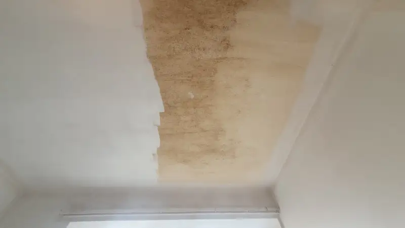 Swipe To View More Images